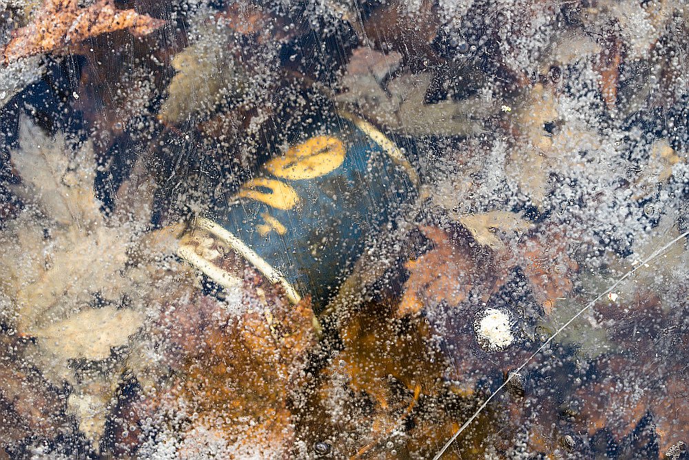 frozen iced coffee